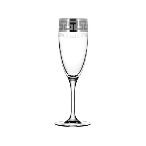 6Pc Champagne glass set / Silver